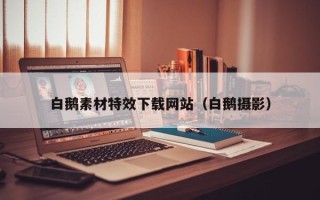 磐石白鹅素材特效下载网站（白鹅摄影）